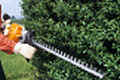 Hedge Cutting
