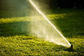 Lawn Maintenance