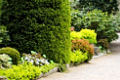 Shrubs & Plants
