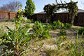 Weed Control